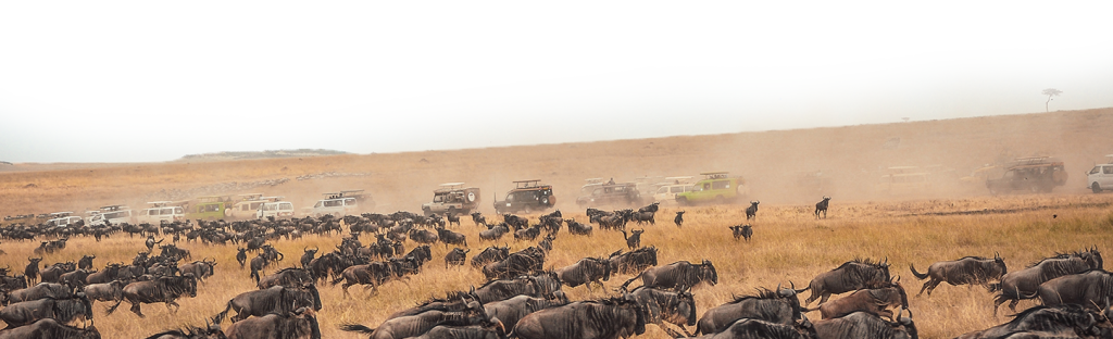 Mara Conservancies map